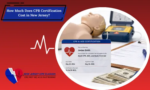 cpr training equipment and certification card